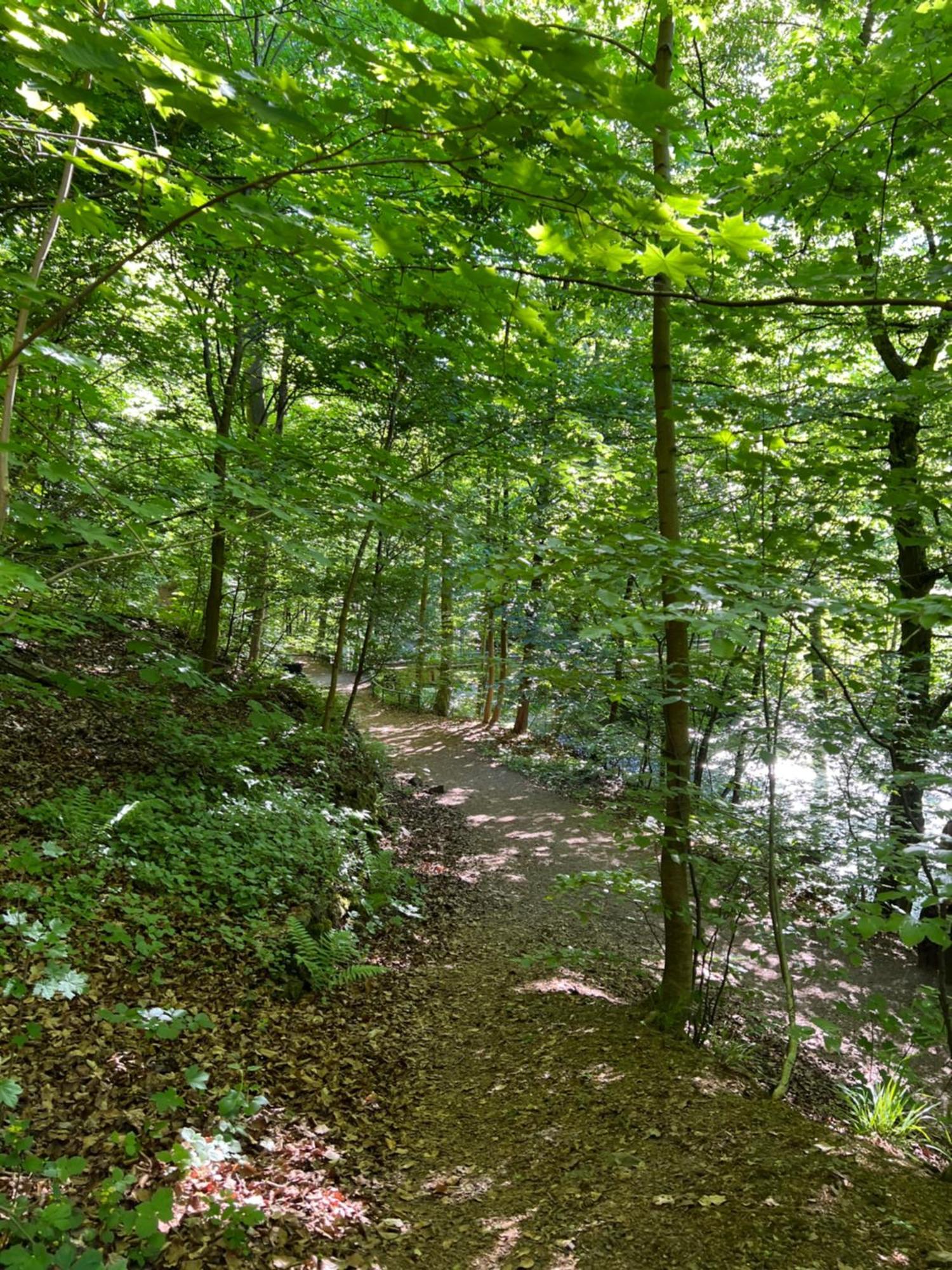 Pension Villa Pangea Bad Lauterberg Dış mekan fotoğraf