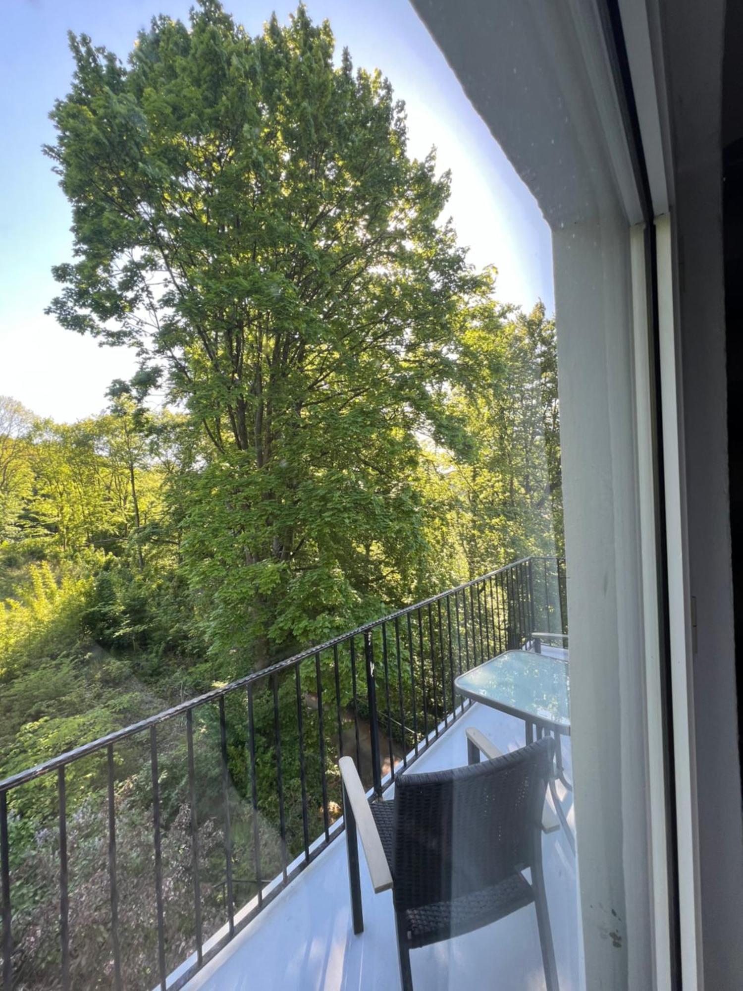 Pension Villa Pangea Bad Lauterberg Dış mekan fotoğraf